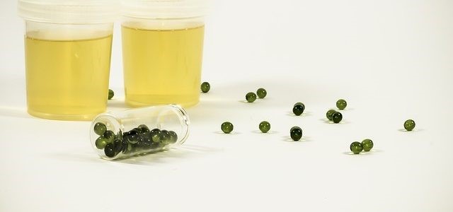 Synthetic Urine Bag Hemlock IN 46937